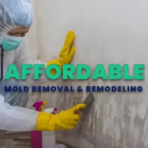 Affordable Mold Removal & Remodeling (AMRR)