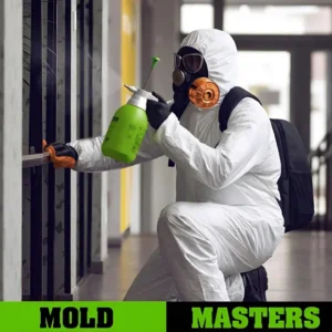 Mold Masters - St. Johns County