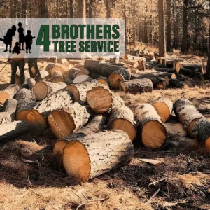 4 Bros Tree Service