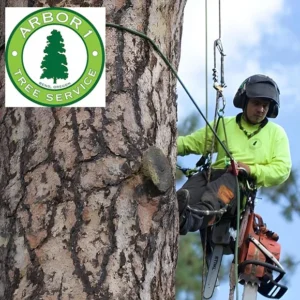 Arbor 1 Tree Service