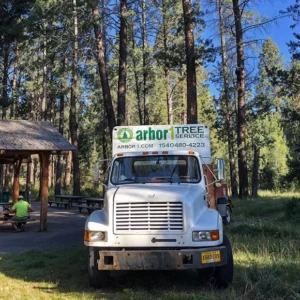 Arbor 1 Tree Service