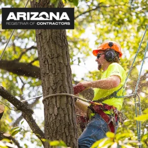 Arizona ROC C-9 / L-9 Stucco Network