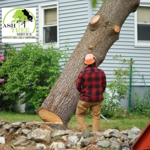 Ashtree Service & Yardworks