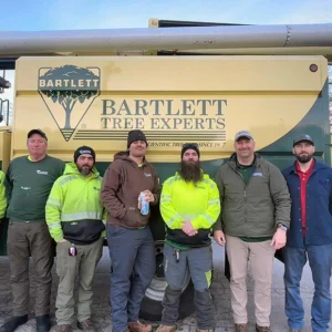 Bartlett Tree Experts (Sacramento)
