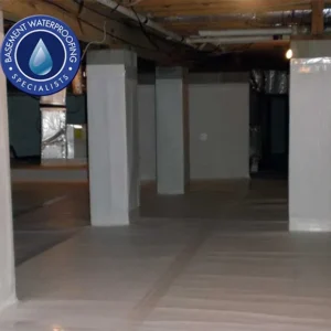 Basement Waterproofing Specialists
