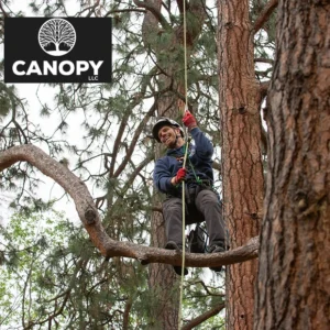 Canopy LLC — The Care of Trees