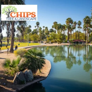 Chips Tree Service