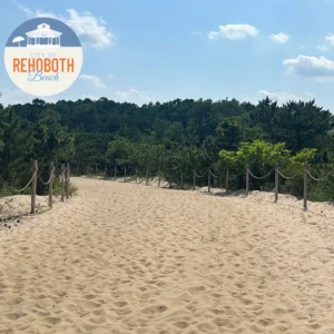 City of Rehoboth Beach Floodplain Administrator (Reference)