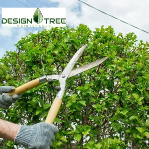 Design Tree Maintenance