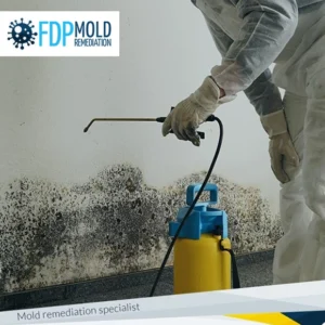 FDP Mold Remediation of North Miami