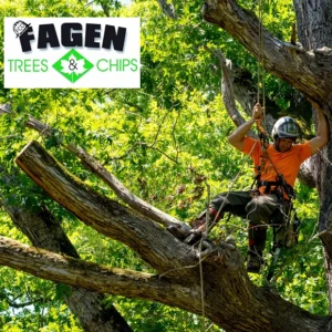 Fagen Tree & Chips