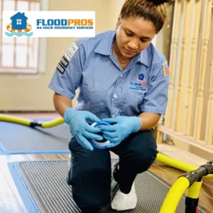 Flood Pro of South Texas