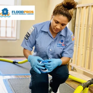 Flood Pros USA (Cape Coral)