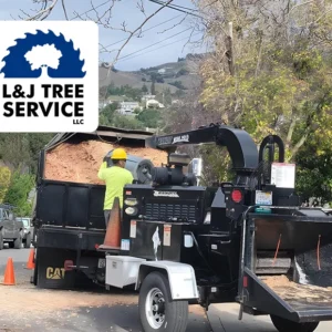 L&J Tree Service