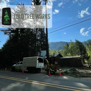 Lolo Tree Works