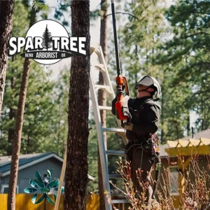 Spar Tree Arborist